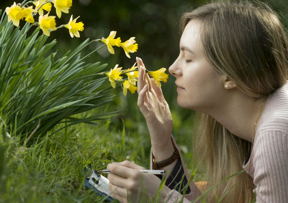 گلیتال - خواص بوییدن گل